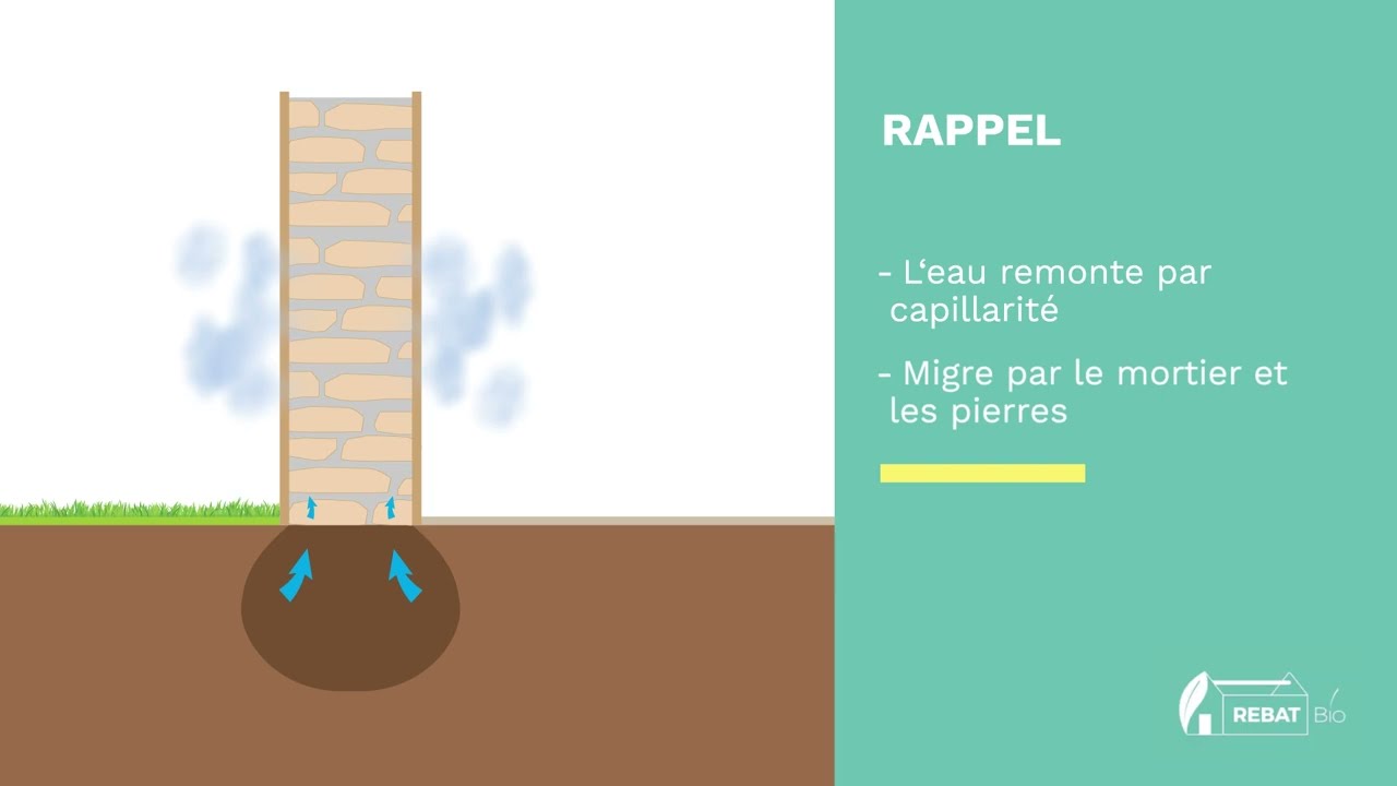 Les pathologies d'un mur ancien liées à l'humidité