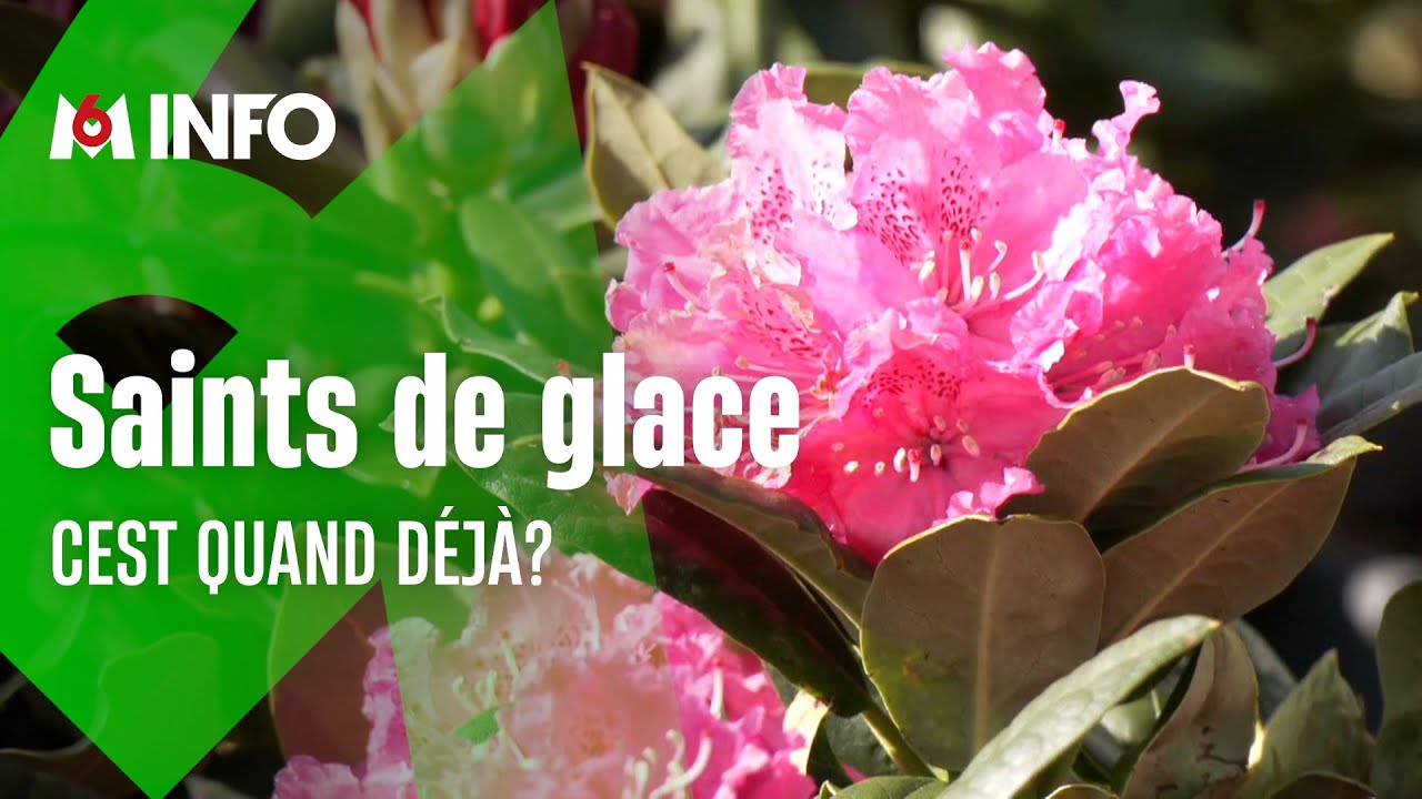 Les saints de glace marquent  le début des plantations