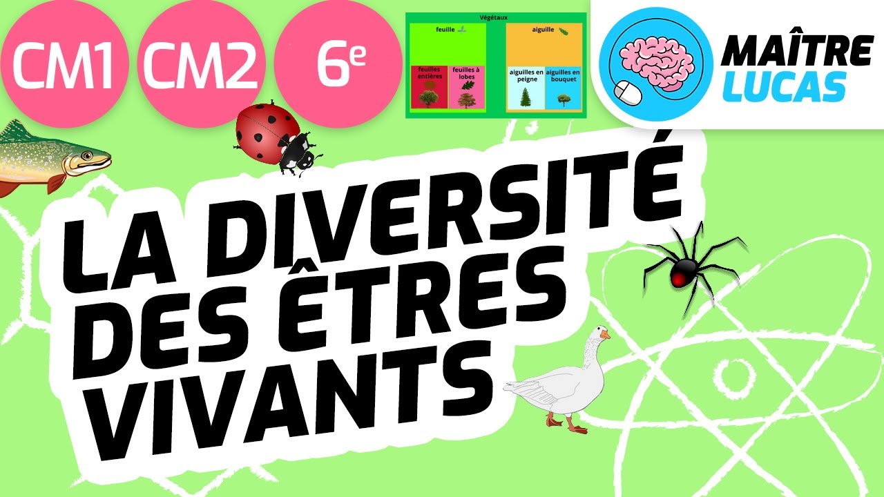 Diversité des êtres vivants - classer les êtres vivants CM1 - CM2 - 6ème Cycle 3 - Sciences