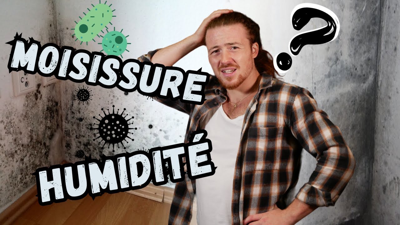 Humidité et Moisissure : explications, identifications et solutions