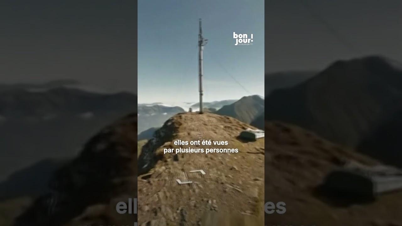 A la montagne en Suisse, ce couple se croyait seul au monde tandis que... 😮｜TF1 INFO