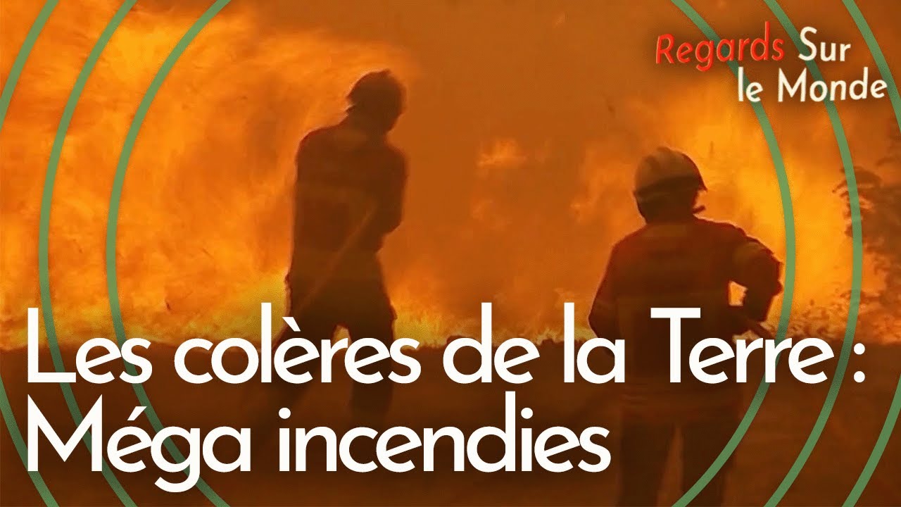 Méga incendies : quand les feux de forêts deviennent incontrôlables | Les colères de la Terre