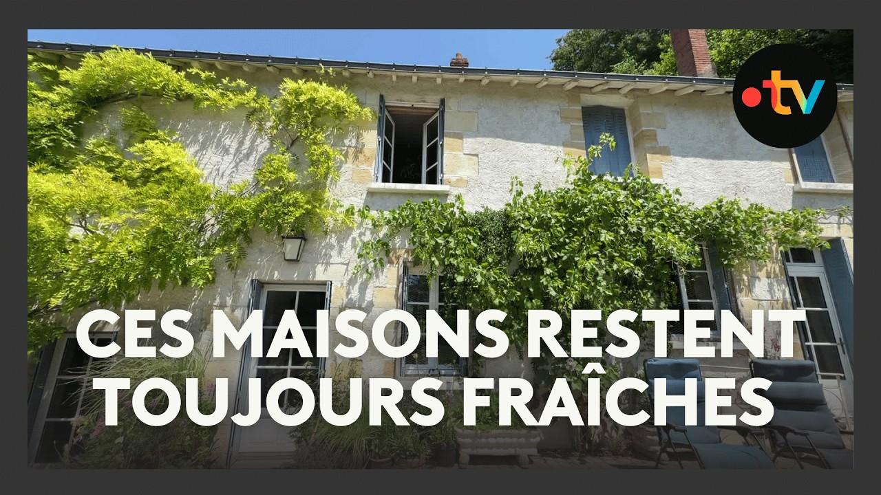 Face à la canicule, ces habitations n'ont presque pas besoin de climatisation