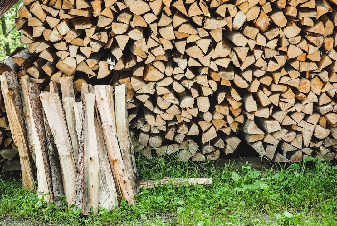 Bien stocker son bois de chauffage : conseils pratiques