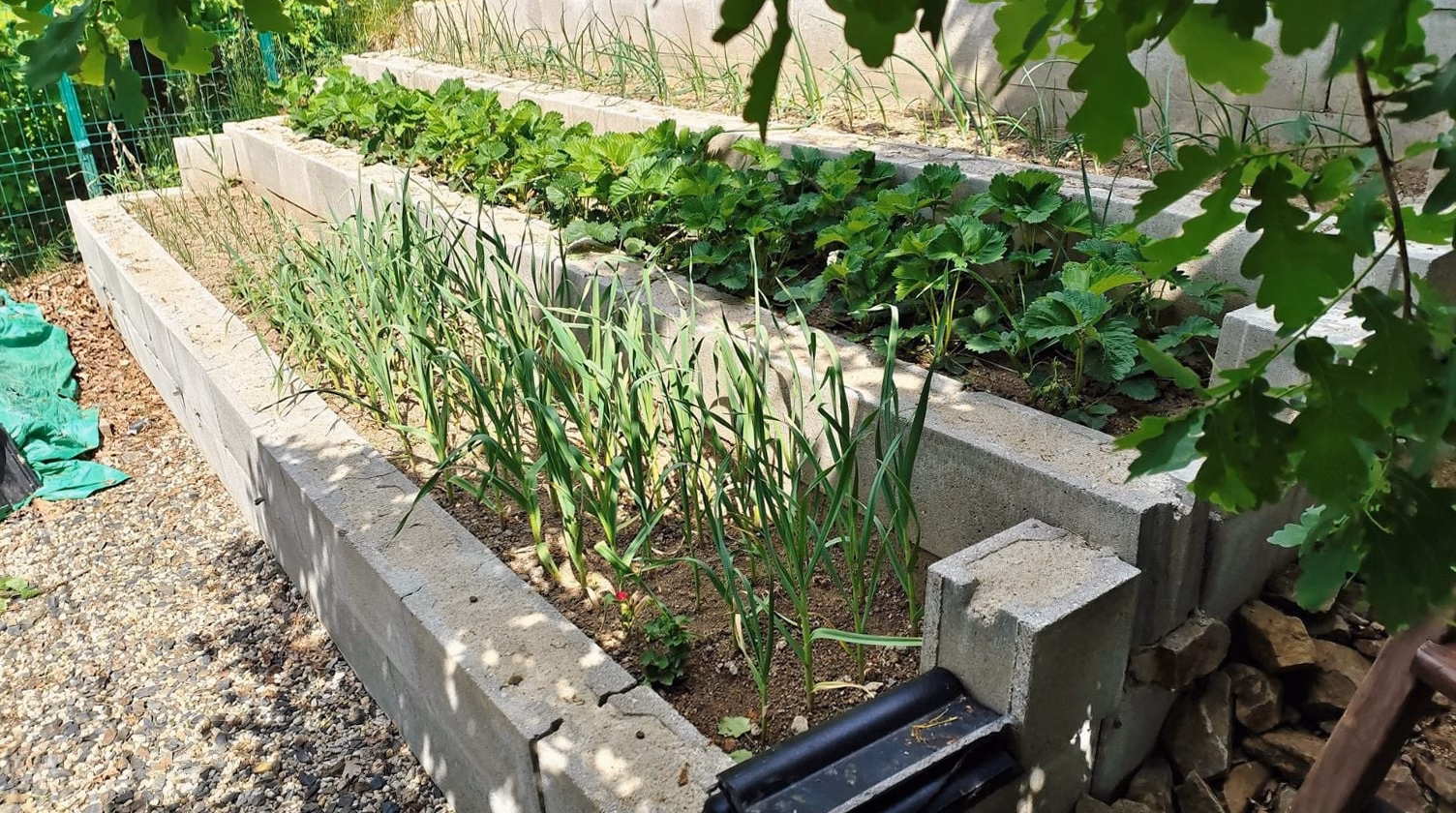 Récupération d&rsquo;eau de pluie : système pour arrosage jardin